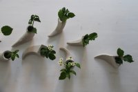 kleine, verschieden geformte Väschen sind leicht gefüllt, brauchen wenig Platz am Tisch, und zaubern eine spielerische Atmosphäre.